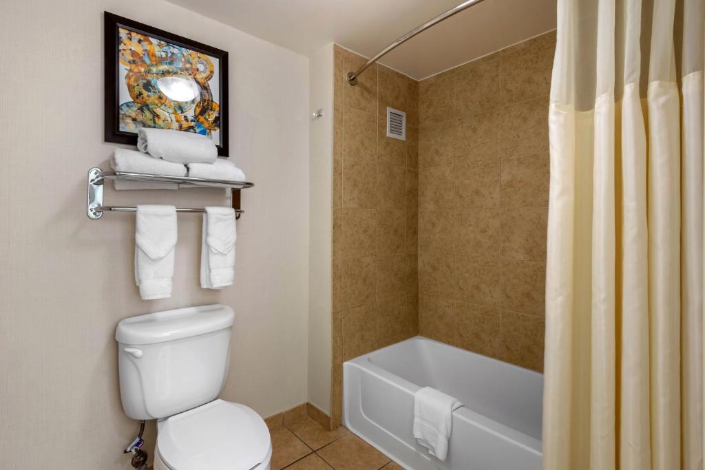 Homewood Suites by Hilton Daytona Beach Speedway-Airport image 6